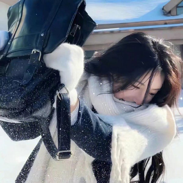 总统班底
