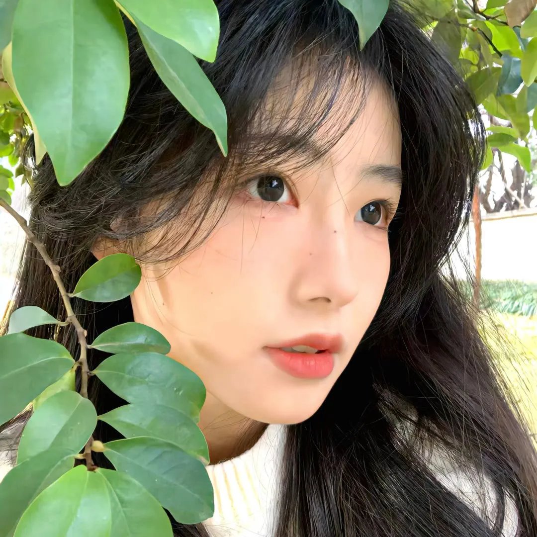 这是我的岛